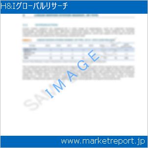 市場と産業調査レポートのイメージ